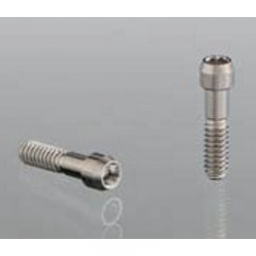 Винты Abutment Screw для TiBase и ScanPost (2 шт.)