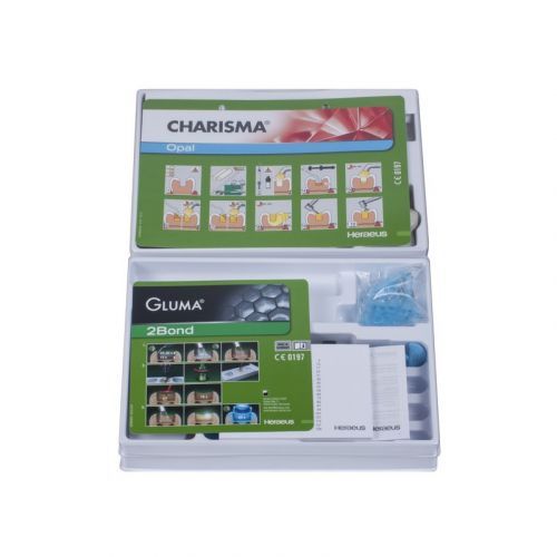 Материал универсальный композитный светоотверждаемый Charisma Opal Syr Master Kit — дополнительное фото