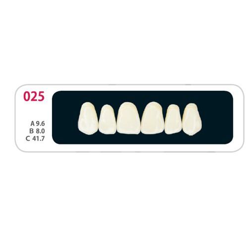 Зубы - Зубы Uniсryl Plus O25 Зубы - Зубы Uniсryl Plus O25