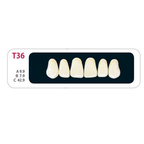 Зубы - Зубы Uniсryl Plus T36 Зубы - Зубы Uniсryl Plus T36