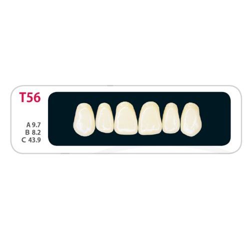 Зубы - Зубы Uniсryl Plus T56 Зубы - Зубы Uniсryl Plus T56